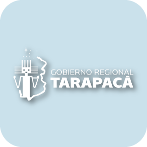Mesa de trabajo 21 copia 6